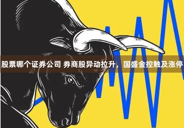 股票哪个证券公司 券商股异动拉升，国盛金控触及涨停