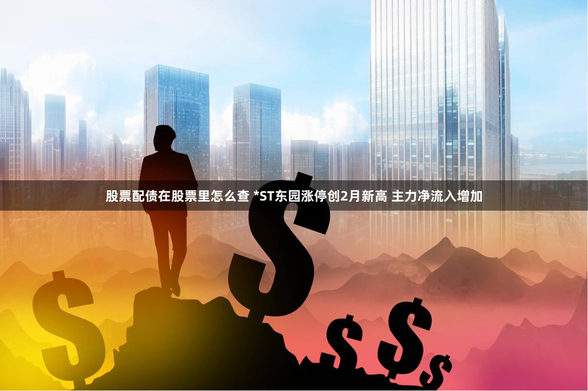 股票配债在股票里怎么查 *ST东园涨停创2月新高 主力净流入增加