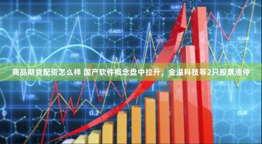 商品期货配资怎么样 国产软件概念盘中拉升，金溢科技等2只股票涨停