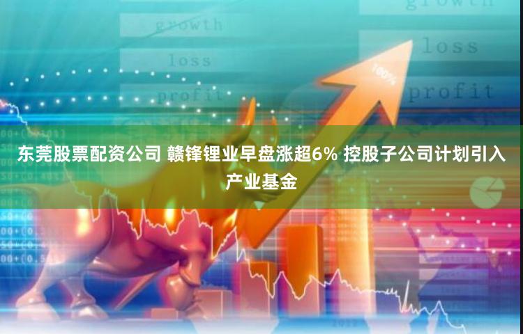 东莞股票配资公司 赣锋锂业早盘涨超6% 控股子公司计划引入产业基金