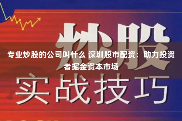 专业炒股的公司叫什么 深圳股市配资：助力投资者掘金资本市场